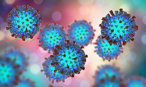 measles virus