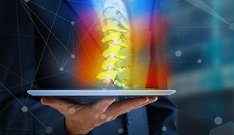 spine disc back lumbar