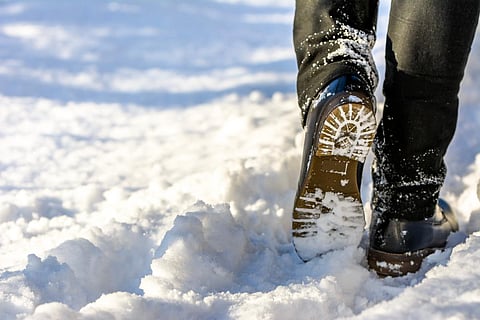 winter snow