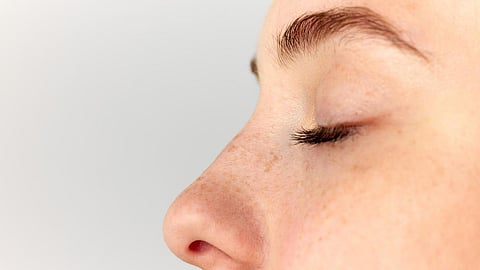 nose nasal