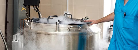 Embryologists with liquid Nitrogen bank containing sperm and eggs samples. High tech laboratory equipment used in the in vitro fertilization process. IVF treatment. Artificial insemination clinic