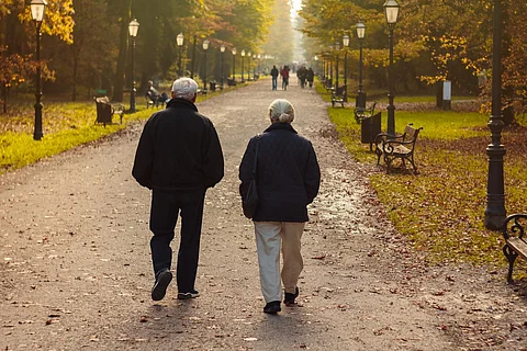 Pareja de ancianos jubilados caminando en el parque en otoño