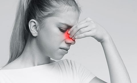 sinus nose nasal