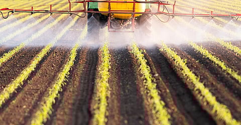 Tractor spraying pesticides at corn fields