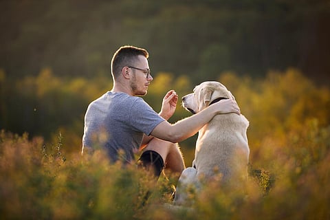 Hombre con perro sentado juntos en el prado. Dueño de mascota sosteniendo golosina para su obediente labrador retriever.