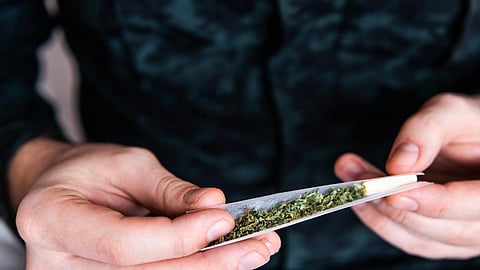 cannabis marijuana pot joint