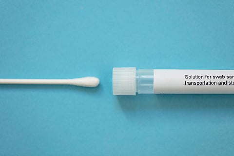 testing swab and test tube