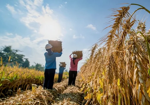 heat farm worker