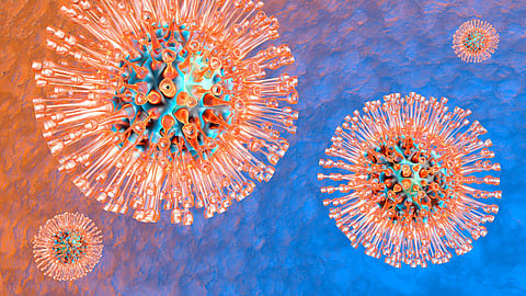 herpes virus