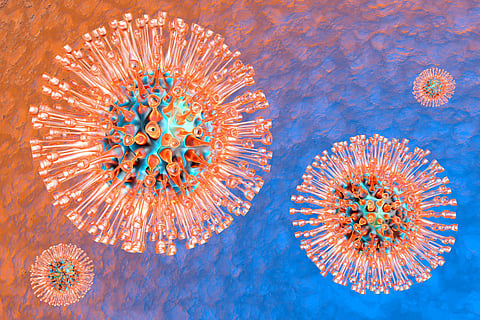 herpes virus