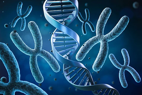 genes genetics DNA