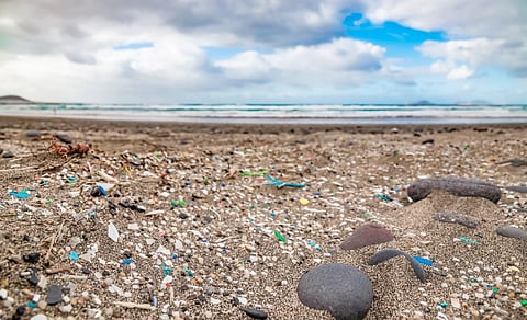beach coast microplastics