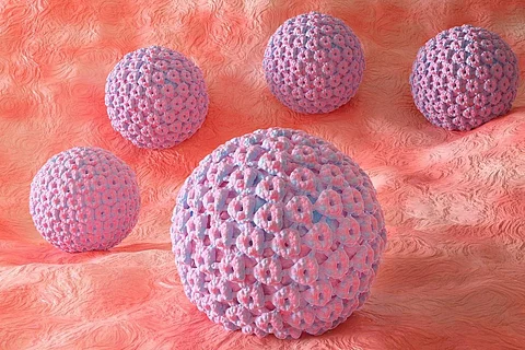 human papillomavirus HPV