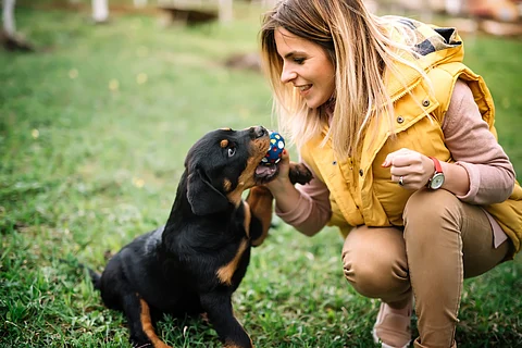 Jugar con perros alivia el estrés tanto en humanos como en caninos