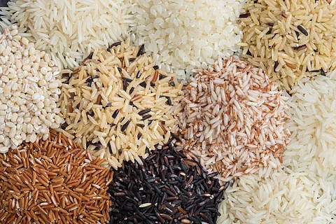 arroz