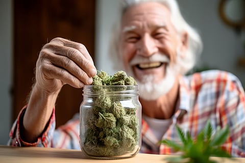 La mayoría de los pacientes con dolor dejan la marihuana medicinal al cabo de un año, según un estudio
