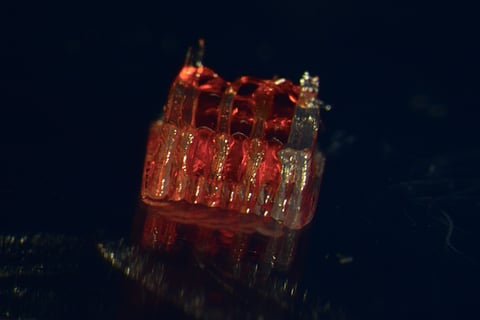 Una nueva investigación combina la impresión 3D, la biología de células madre y tejidos cultivados en laboratorio para posibles tratamientos de lesiones de la médula espinal.