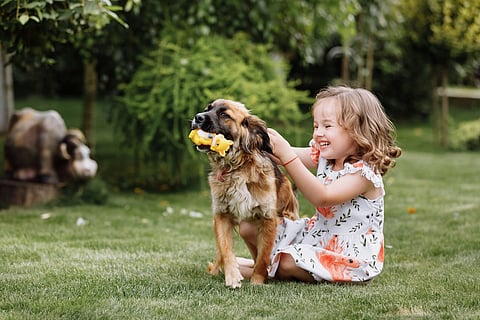 Una linda niña está jugando con su perro mascota en el césped de su casa