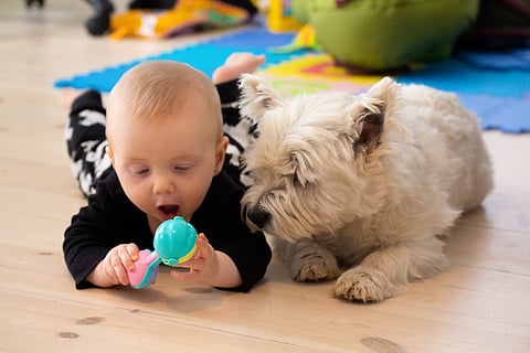 Bebé con perro mascota