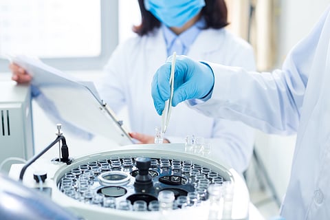Investigadores ganan el Premio Nobel por descubrir cómo se protege el sistema inmunológico
