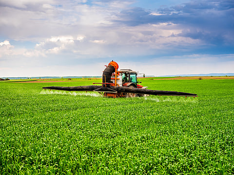 Agricultor fumigando cultivos de trigo