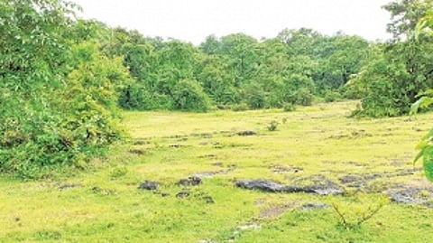 Villagers urge shift of IIT project from Codar