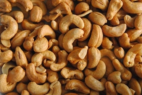 Imported poor quality cashew sold as Goan produce: GSAMB