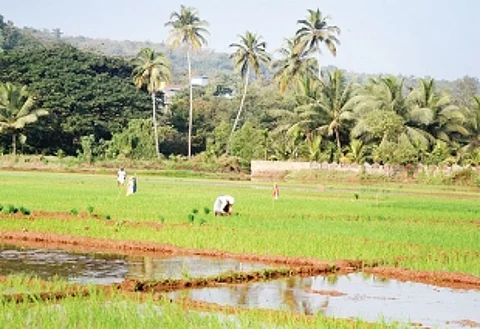 Training to make little village republics of Goa self-sufficient in a post COVID world