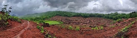 Scientists, conservationists say results will have a CATASTROPHIC effect