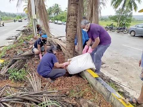 A Green initiative to save Guirim’s iconic coconut trees