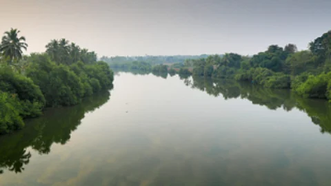 SPARE RIVER SAL