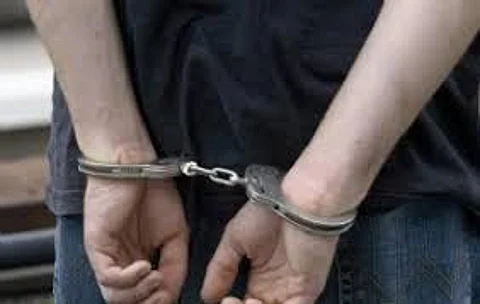 Porvorim Police Bust Chain Snatcher Disguised as Delivery Agent