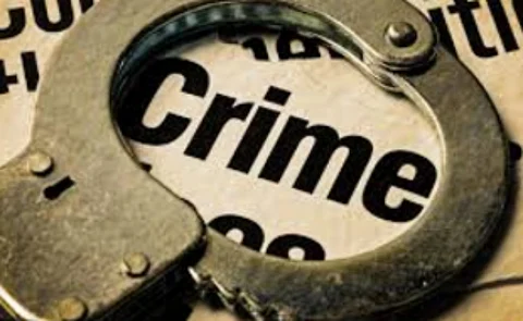 Man held for murder bid on mother
