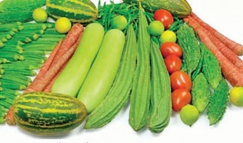 Horti Corp to venture into wholesale marketing of commodities