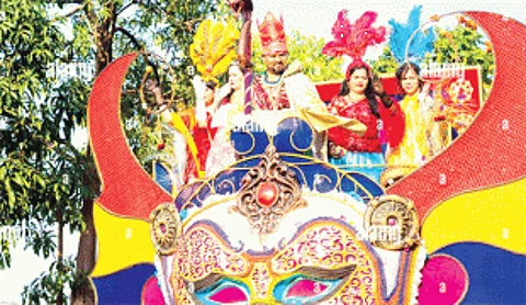 CCP to set up stray dog adoption zone for Carnival festival