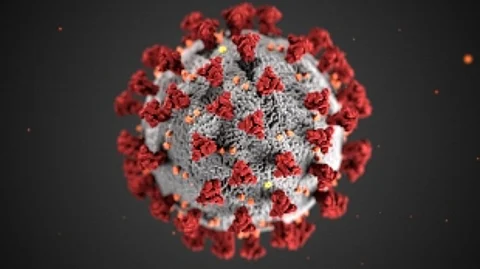 Govt lifts COVID restrictions as pandemic wanes