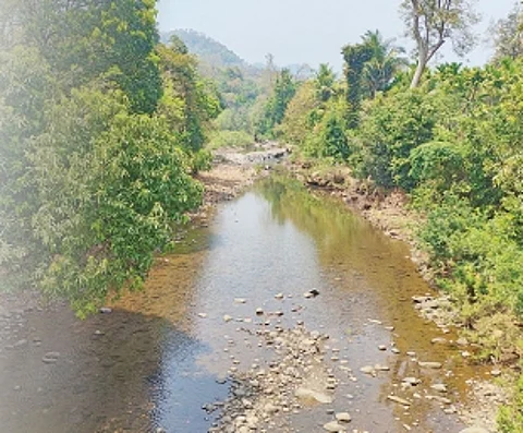 Crop losses push Satrem farmers to the brink