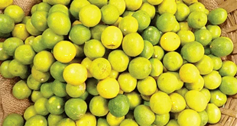 Squeezing lemons this summer will squeeze our budget too