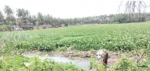 Maimolem Lake in Vasco will be developed under ‘Amrit Sarovar’ scheme: WRD Minister