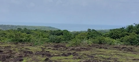 Eco-sensitive Loliem wants to remain the way it is, shocked at calls for removal of villages from green zones