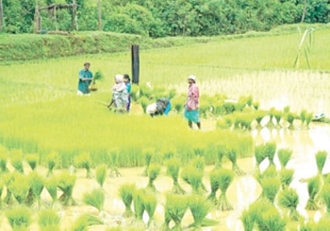 Kul Mundkaracho Avaaz raises objection to Agri Land Bill 2023