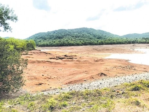 Scorching heat dries up Mhaisal dam; water to Panchwadi, Shiroda supplied from Opa