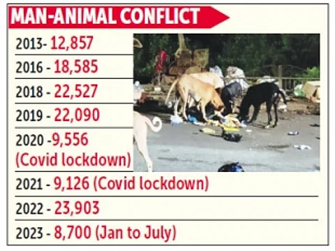 95,902 dog-bite cases reported in Goa over the last five-and-a-half years