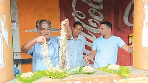 Annual production of ‘zayo’ down by 50 per cent, complain Mardol cultivators