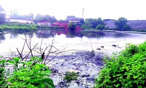 Pollution plagues Cuncolim Industrial Estate: Factories neglect waste disposal norms, build illegal structures