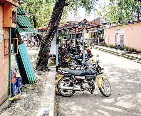 Riding into Goa’s Past and Present: The Tale of Bike Taxis