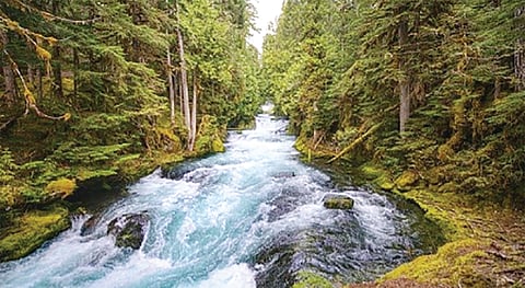 Celebrating the vital role of rivers
on World Rivers Day