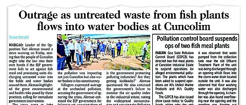 Fresh fish, no foul play: Export units in Cuncolim deflect pollution blame to sole fish meal plant