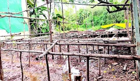 Mandrem: Where the creek is a sewage dump & coconut trees are acrushed by ‘development’