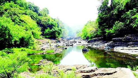 Environmentalist Rajendra Kerkar says Goa govt in a holiday mood on Mhadei